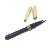 Parker 61 folheada a ouro