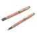 Waterman Patrician coral
