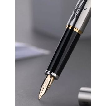 Platinum Dragon ( aço  )