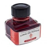 corail des tropiques