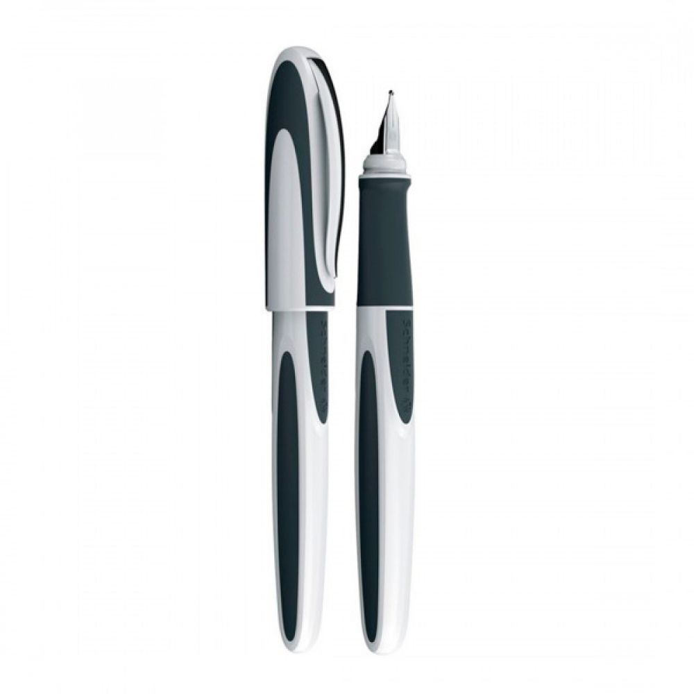 Caneta Tinteiro Ray Schneider - Grey